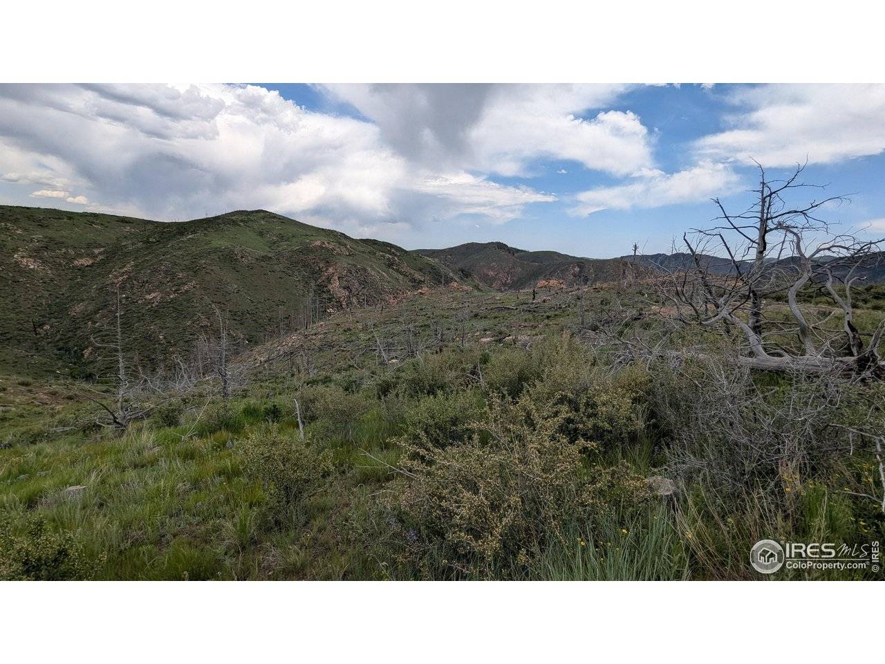 1324 Meadow Mountain, Livermore, CO 80536