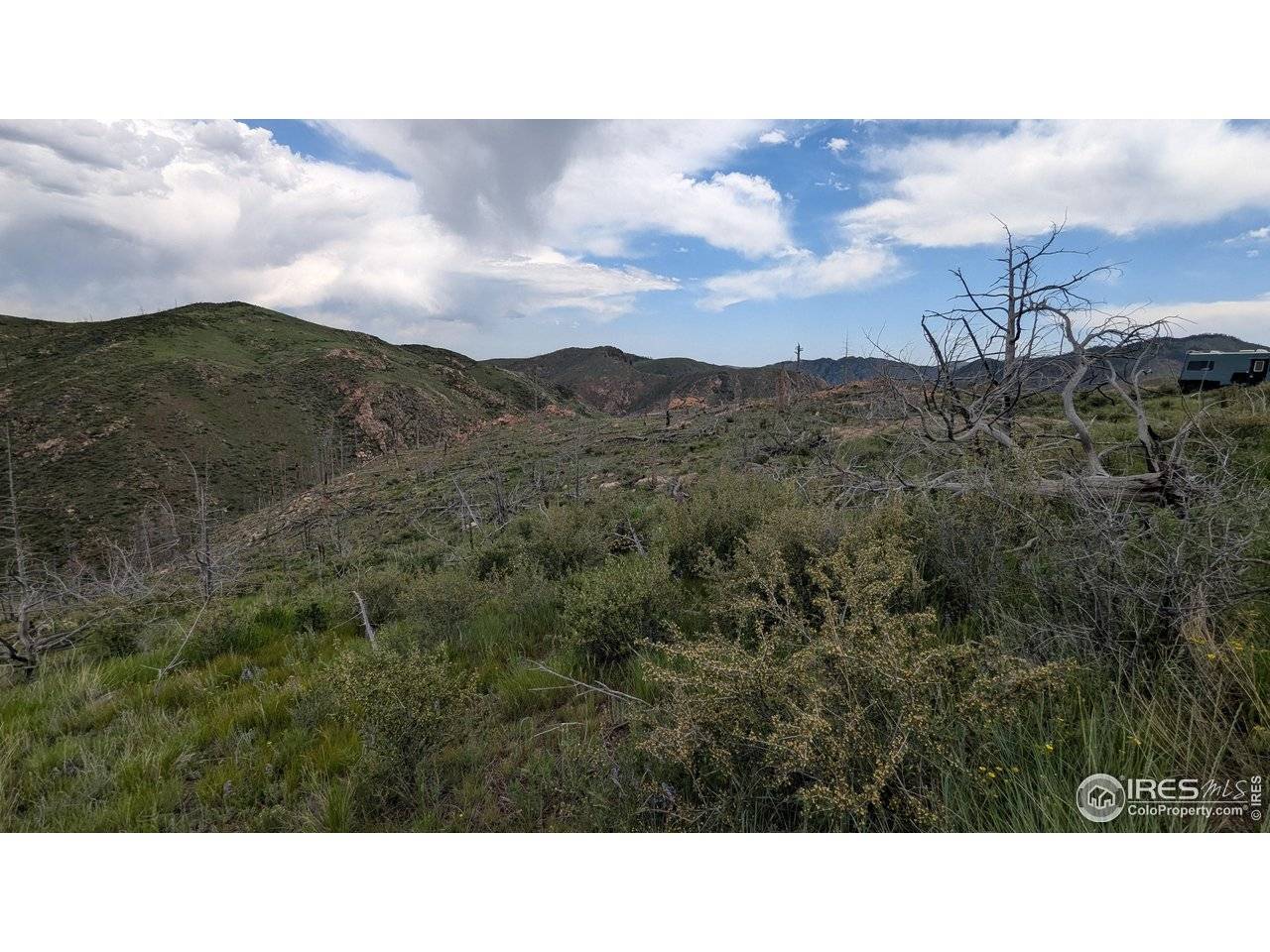 1324 Meadow Mountain, Livermore, CO 80536