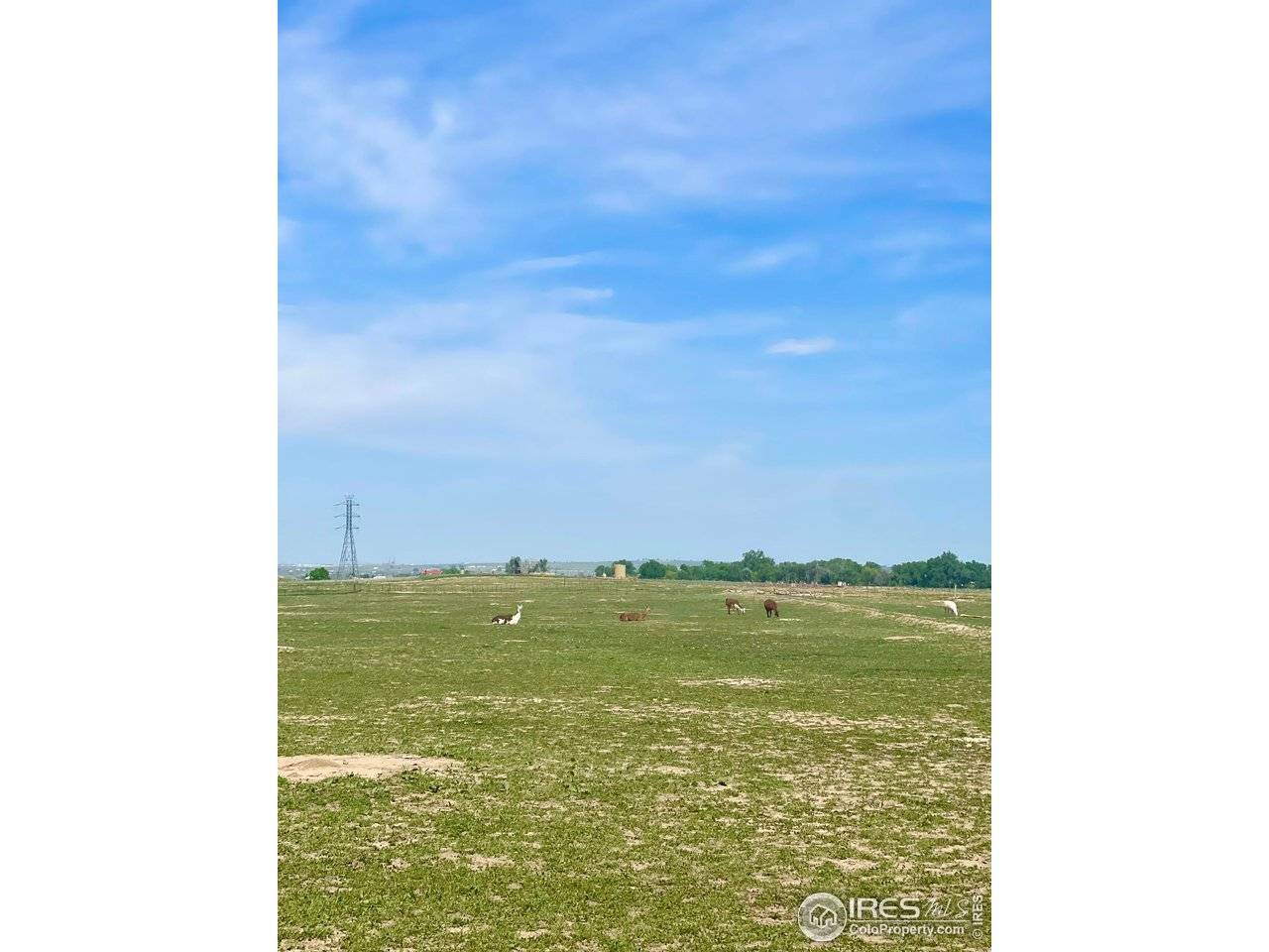 6742 County Road 21, Fort Lupton, CO 80621