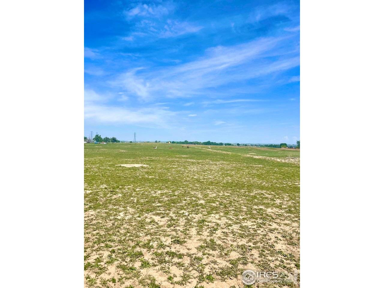6742 County Road 21, Fort Lupton, CO 80621