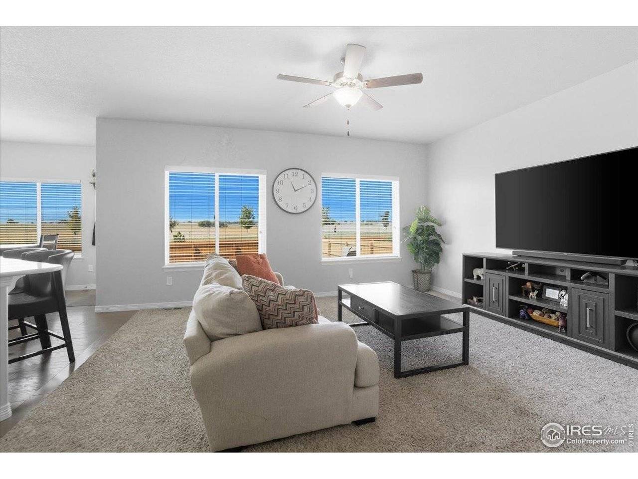 14877 Lineback, Mead, CO 80542