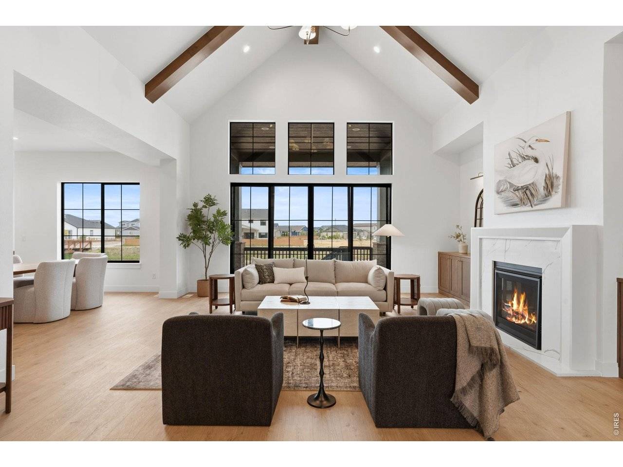 271 Cornelia, Windsor, CO 80550