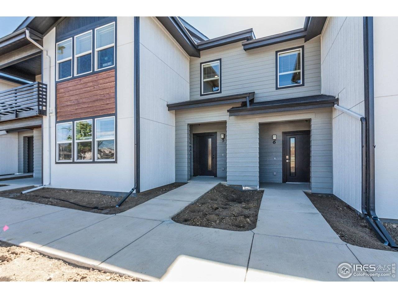 1825 Bounty #5, Windsor, CO 80550