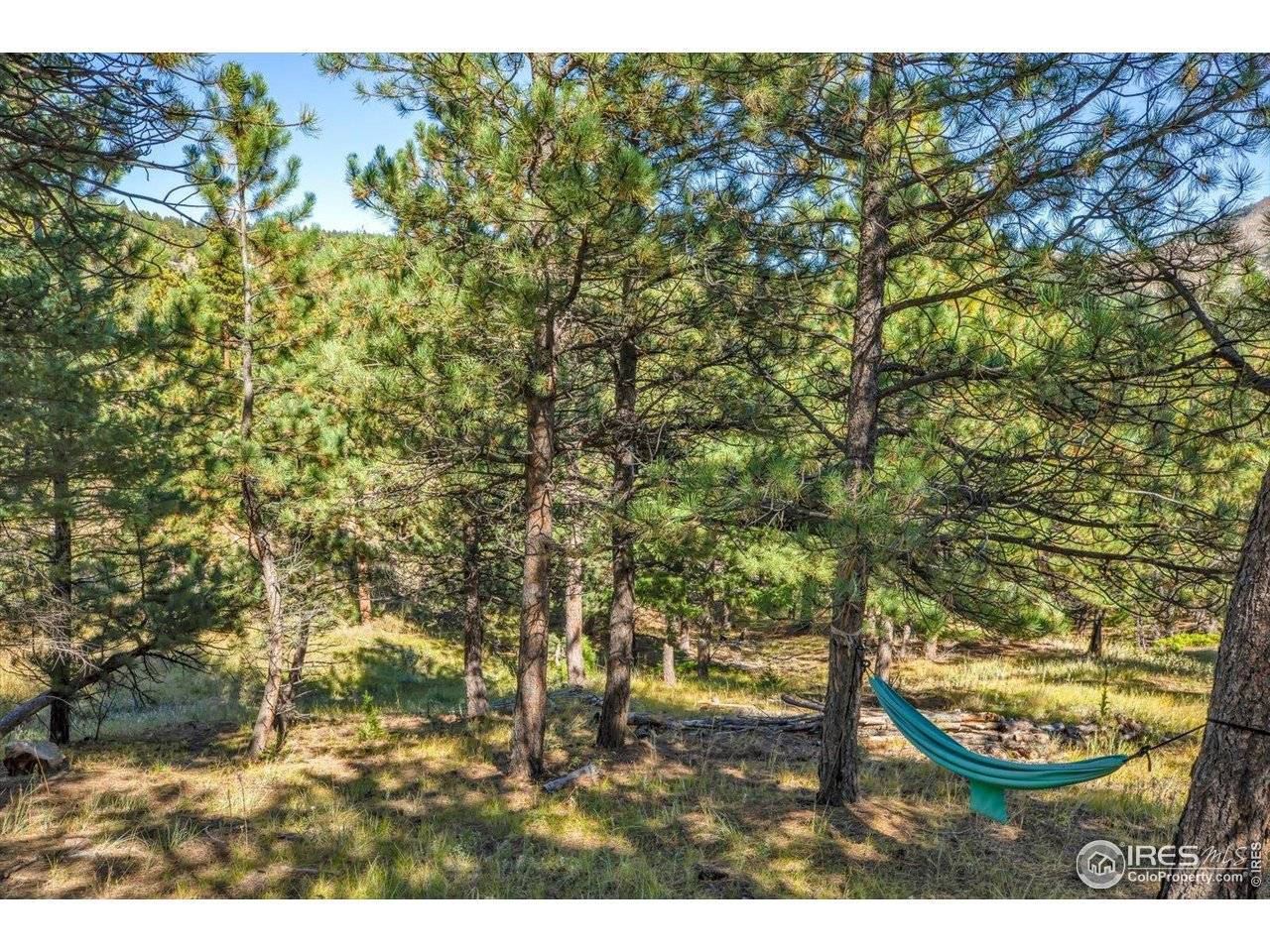 198 Puma, Boulder, CO 80302