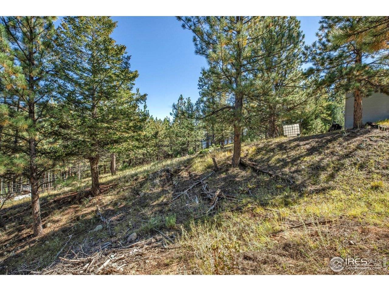 198 Puma, Boulder, CO 80302