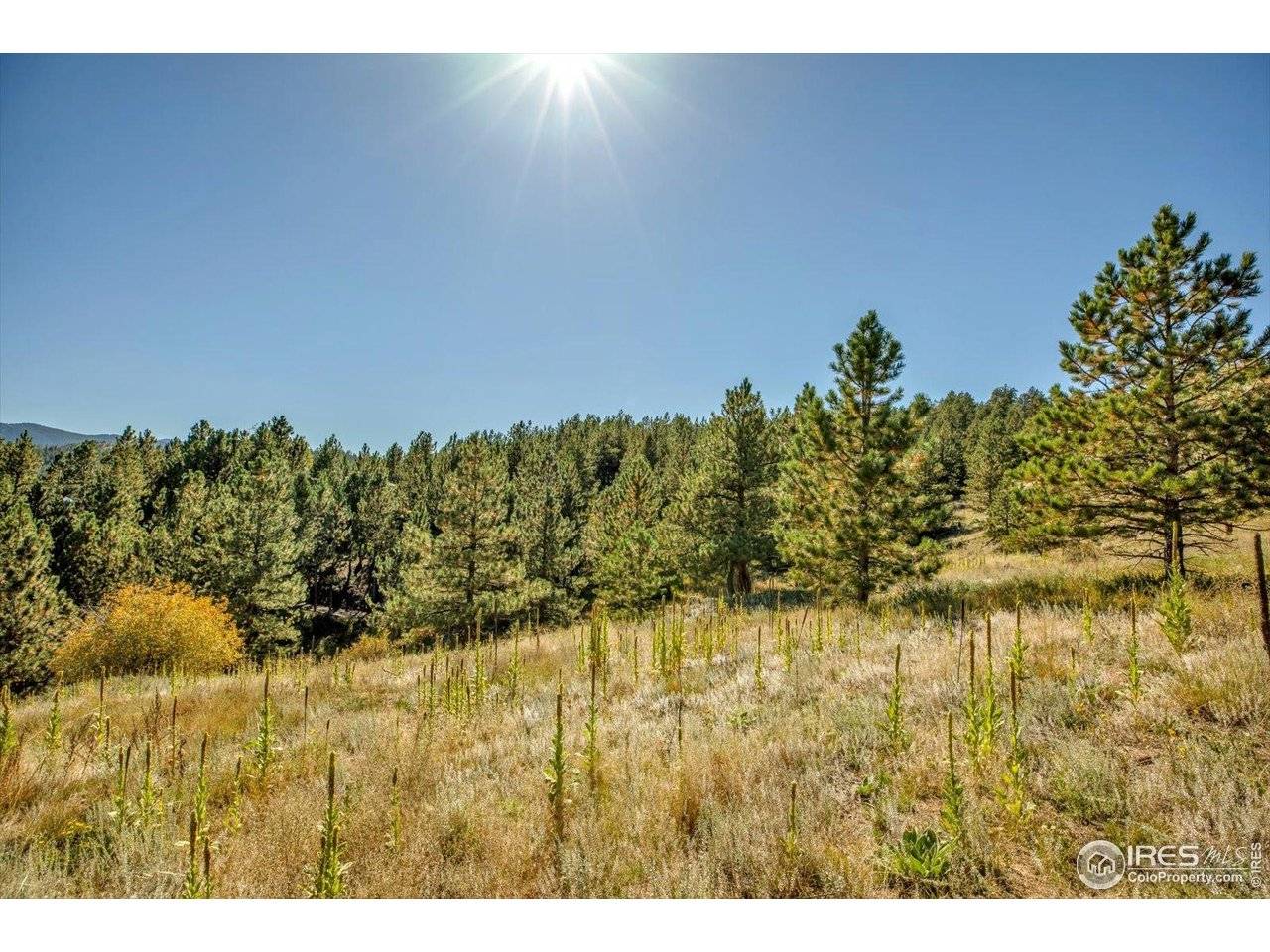 198 Puma, Boulder, CO 80302