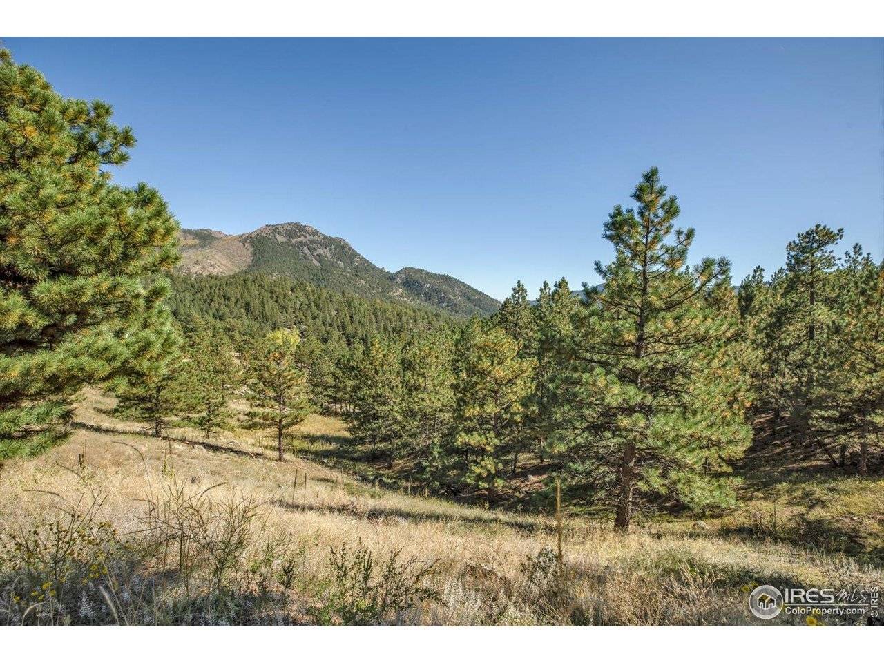 198 Puma, Boulder, CO 80302