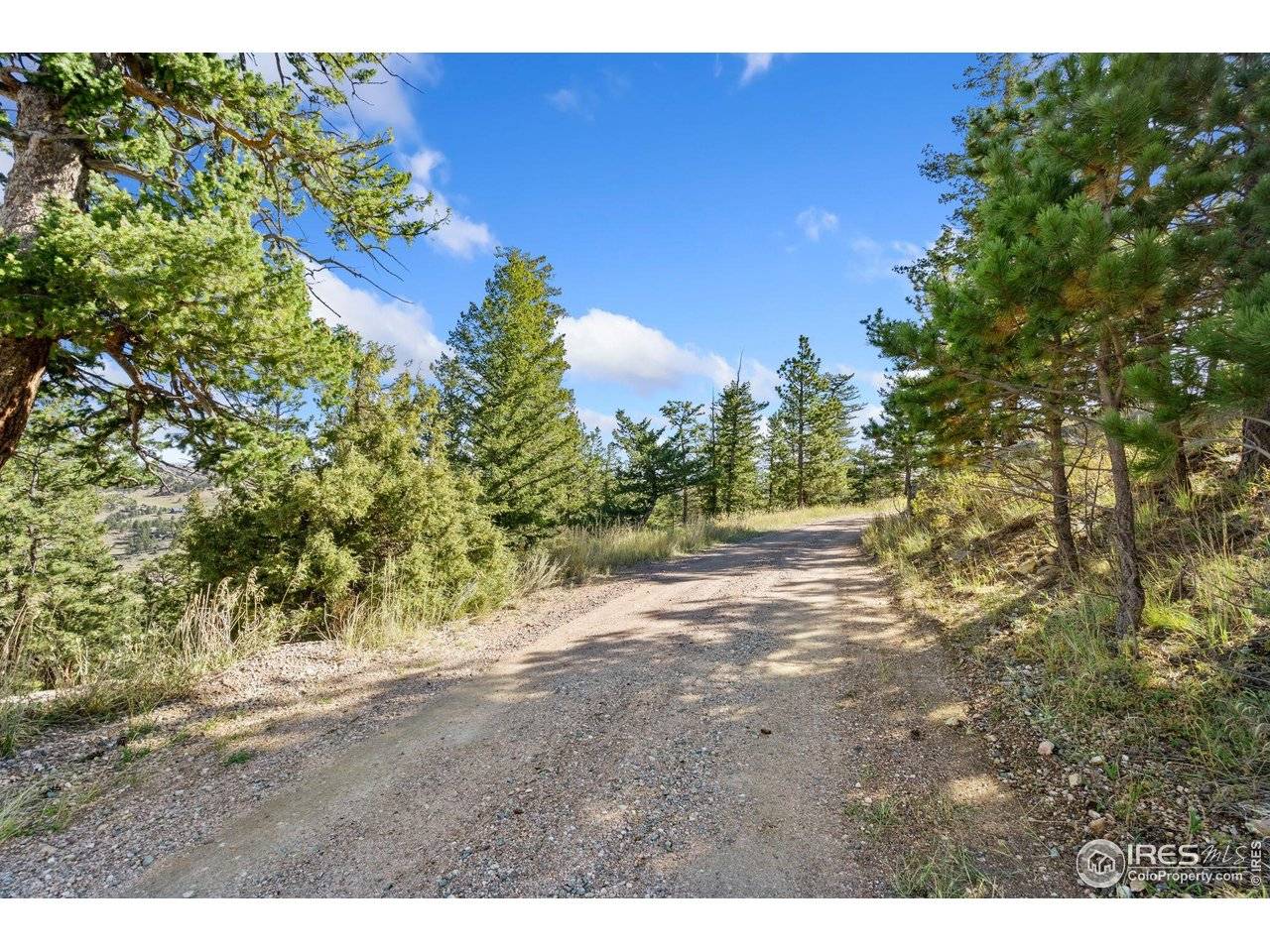 90 Sunlight, Livermore, CO 80536
