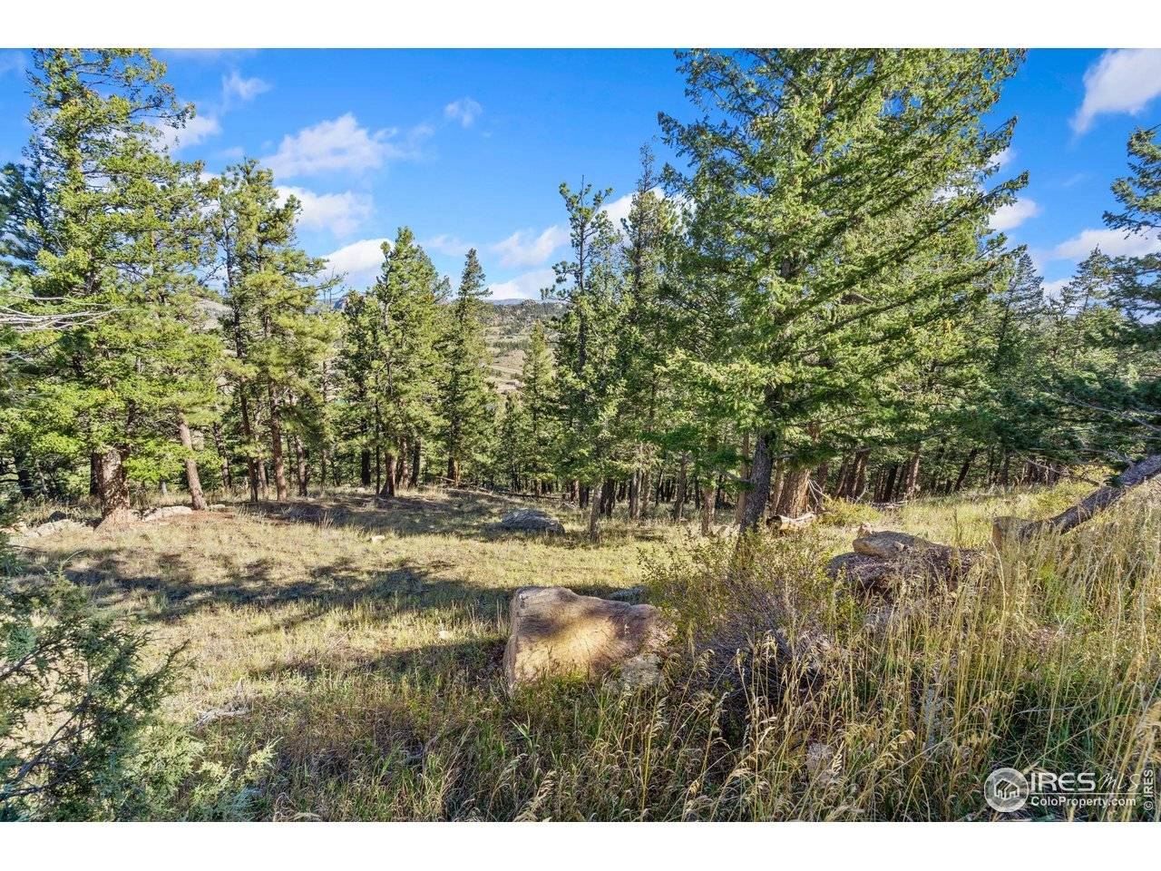 90 Sunlight, Livermore, CO 80536