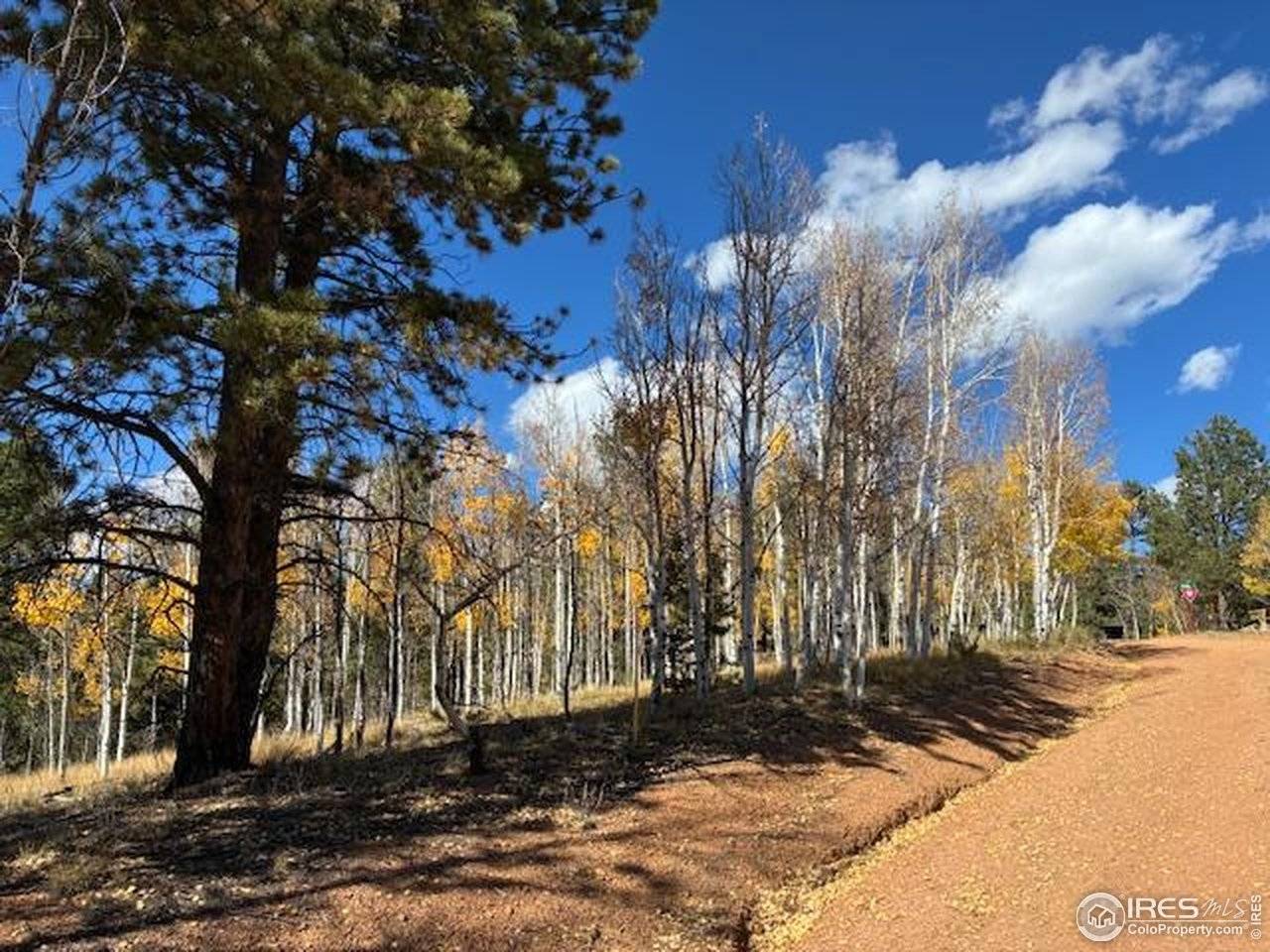 85 Remwood, Divide, CO 80814