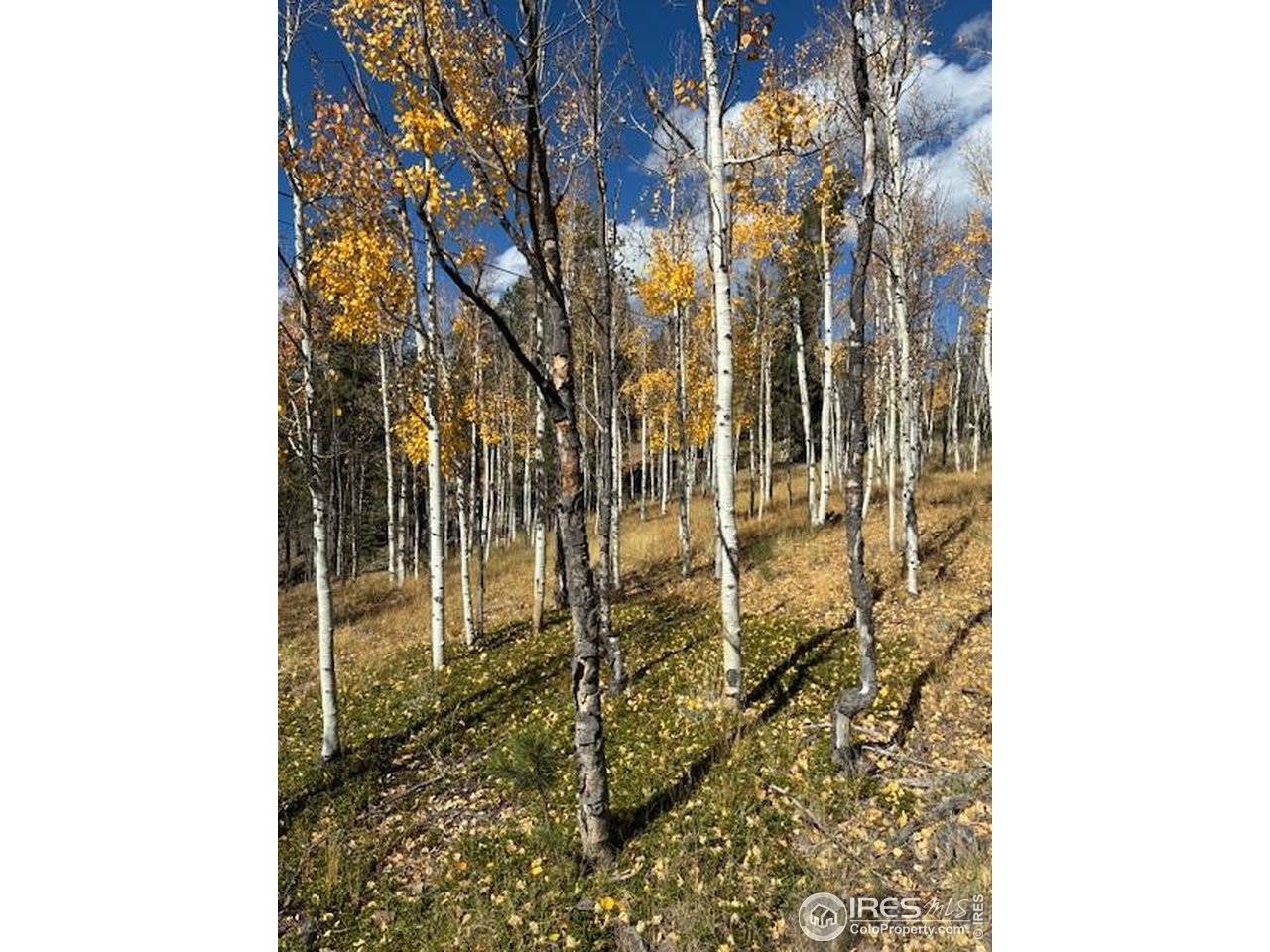 85 Remwood, Divide, CO 80814