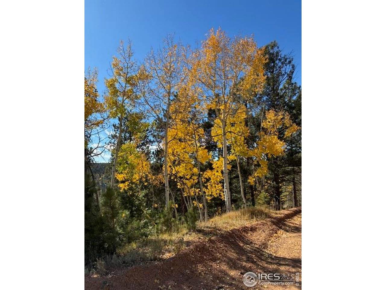 85 Remwood, Divide, CO 80814