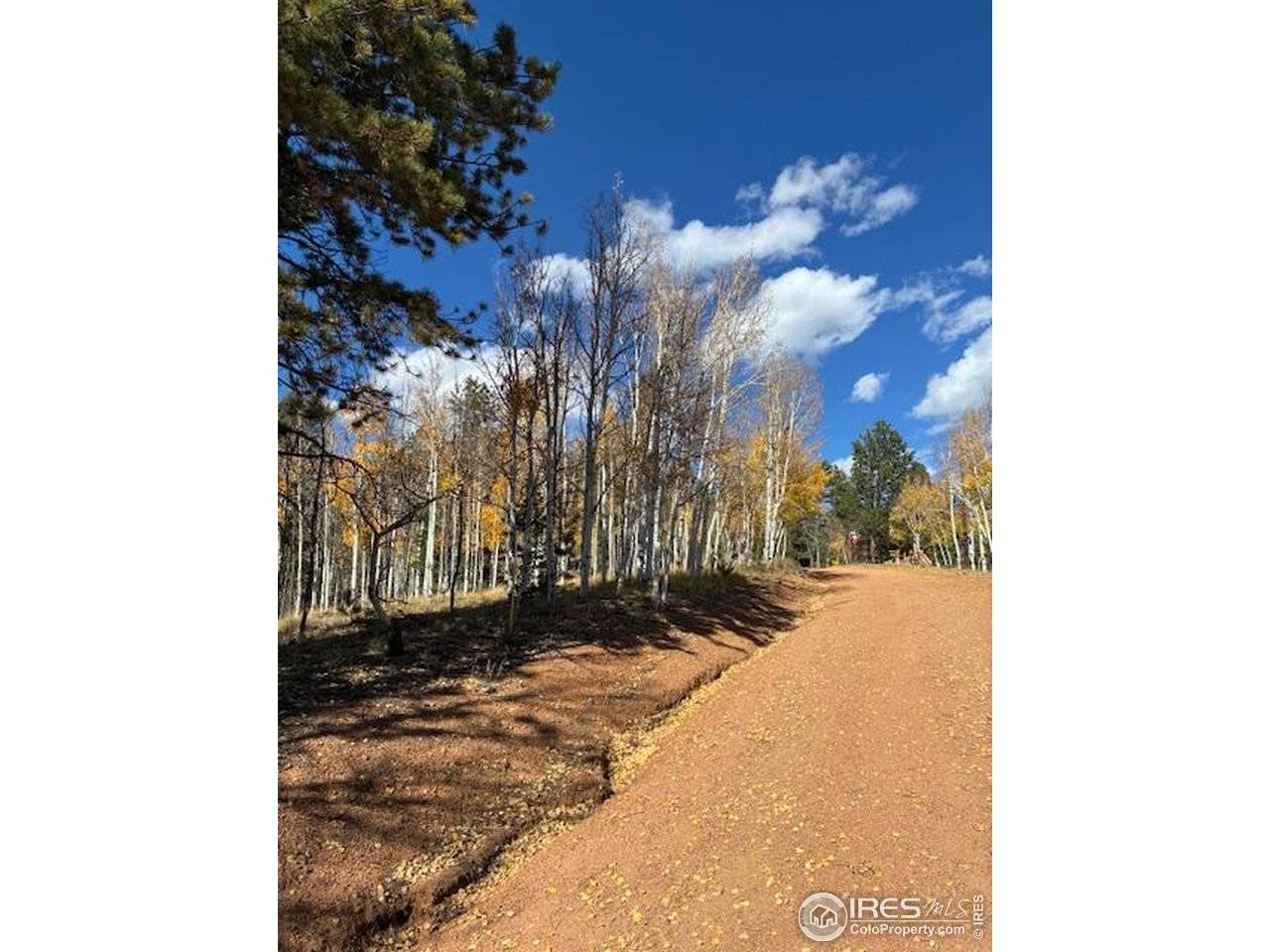 85 Remwood, Divide, CO 80814