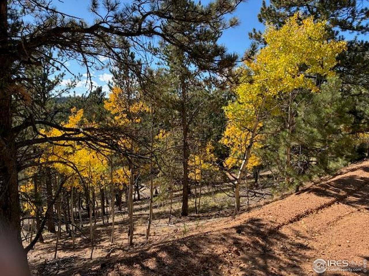 85 Remwood, Divide, CO 80814