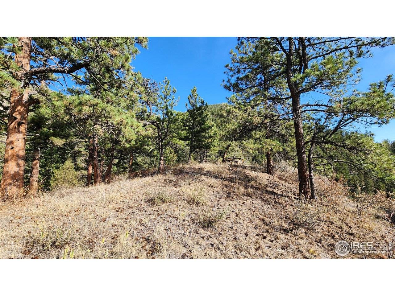 84 Copper Hill, Glen Haven, CO 80532