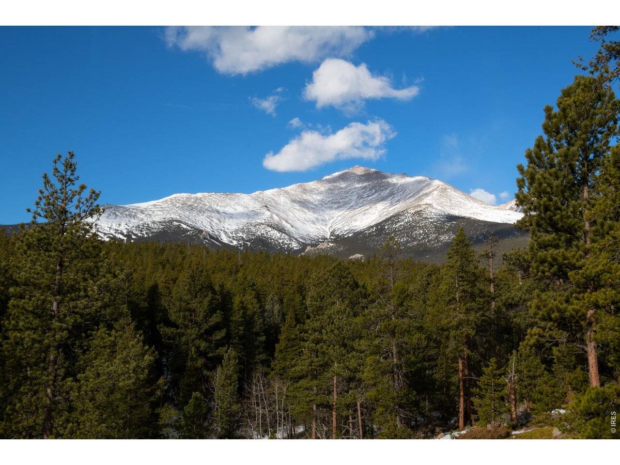 1997 Big Owl, Allenspark, CO 80510