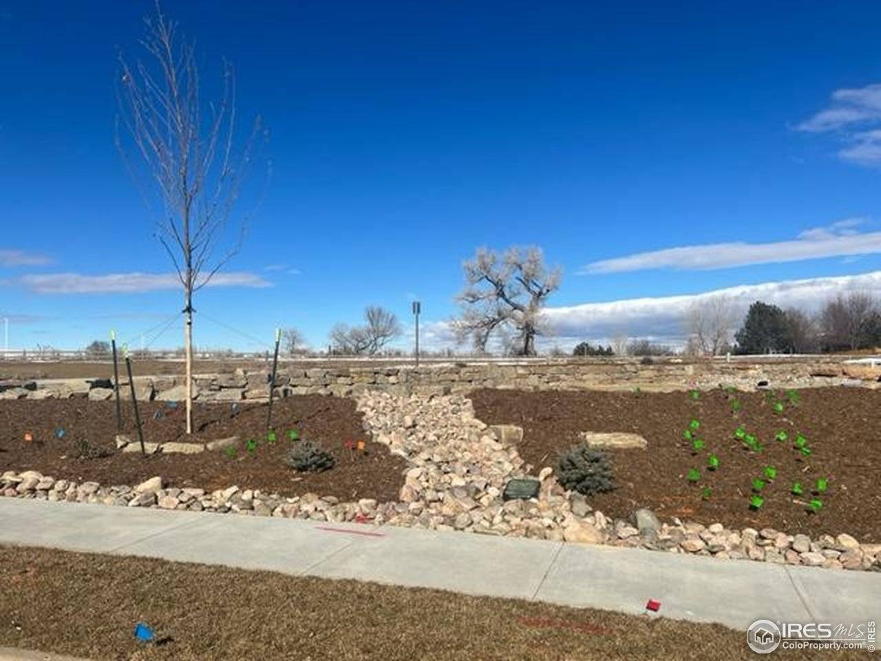 938 Langdale, Fort Collins, CO 80526