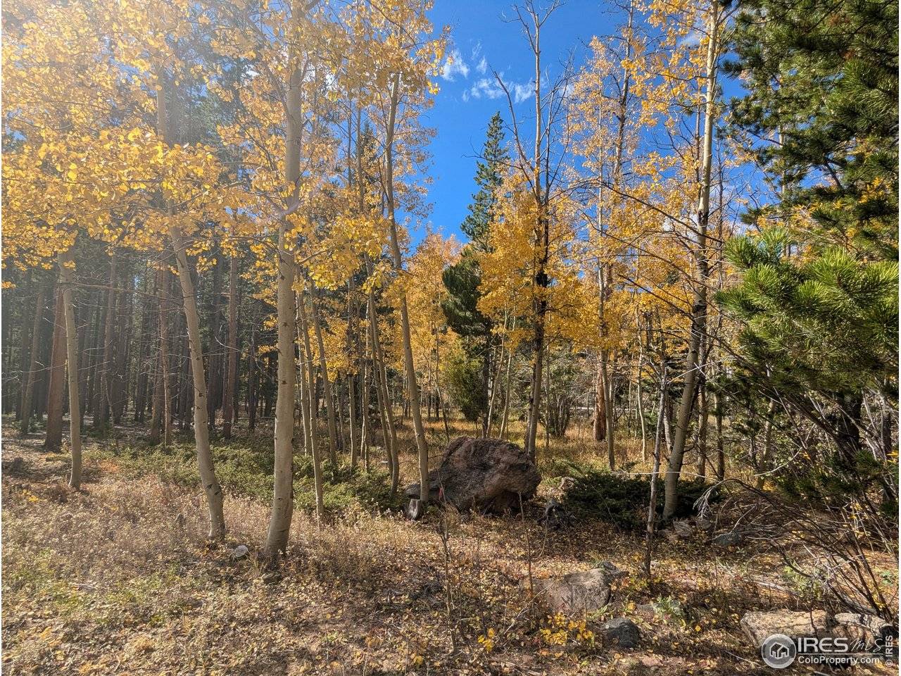 2174 Bear Gulch, Red Feather Lakes, CO 80545