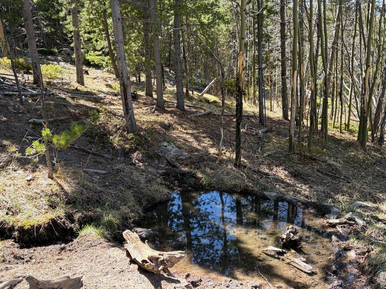 2174 Bear Gulch, Red Feather Lakes, CO 80545