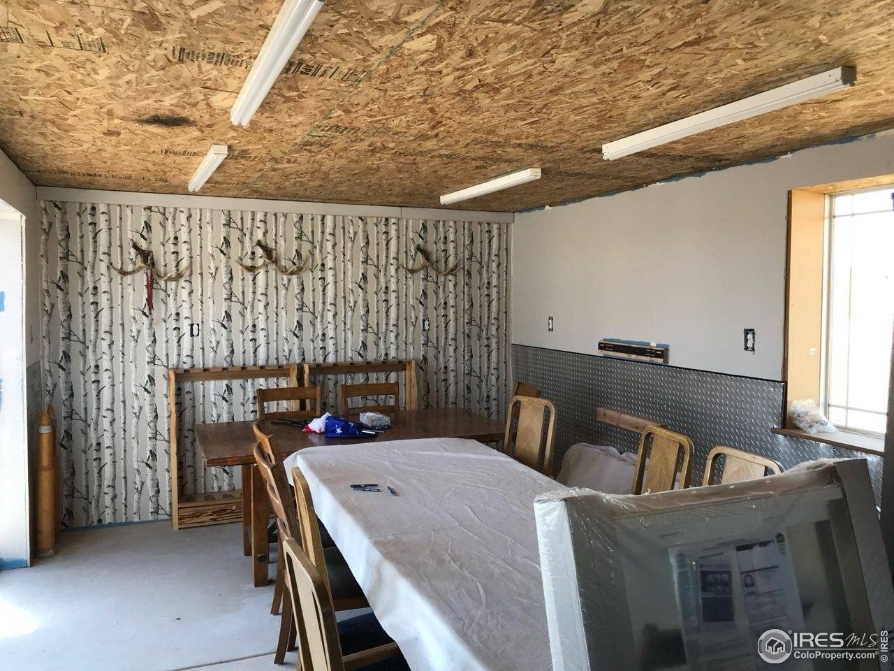 54215 County Road 21, Carr, CO 80612