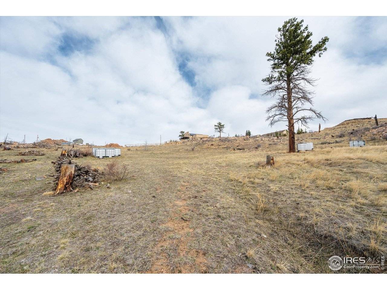 107 Mount Audubon, Livermore, CO 80536