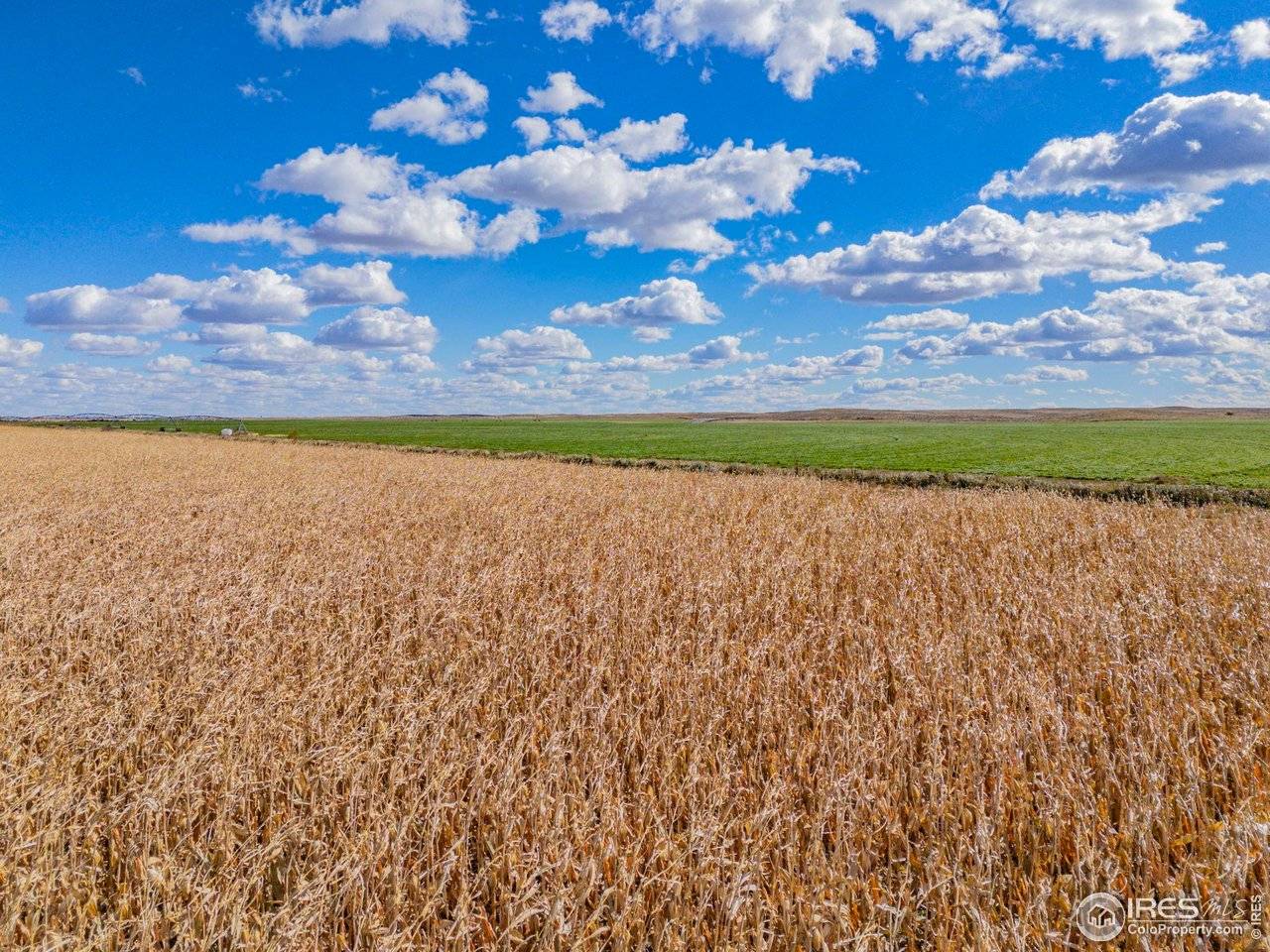 14805 County Road 12, Fort Morgan, CO 80701