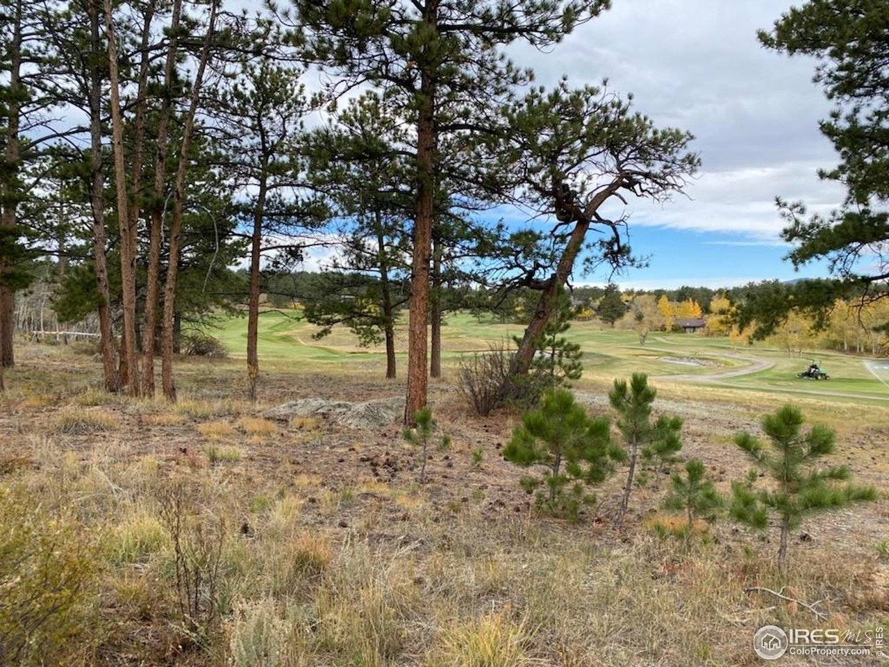 0 Northwoods, Red Feather Lakes, CO 80545