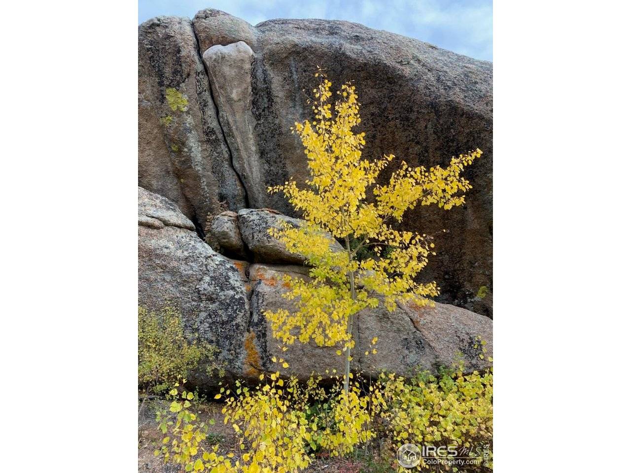 0 Northwoods, Red Feather Lakes, CO 80545