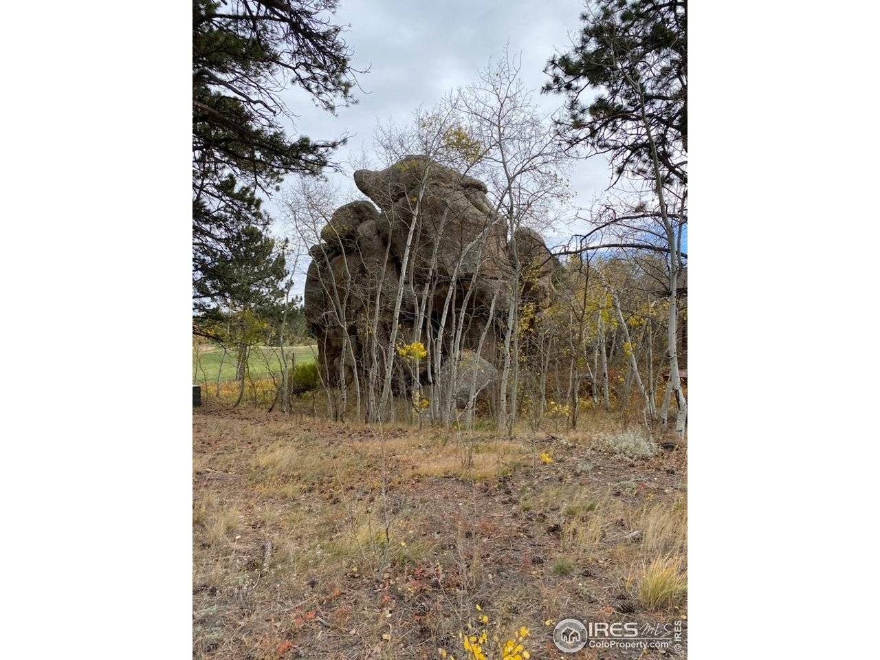 0 Northwoods, Red Feather Lakes, CO 80545