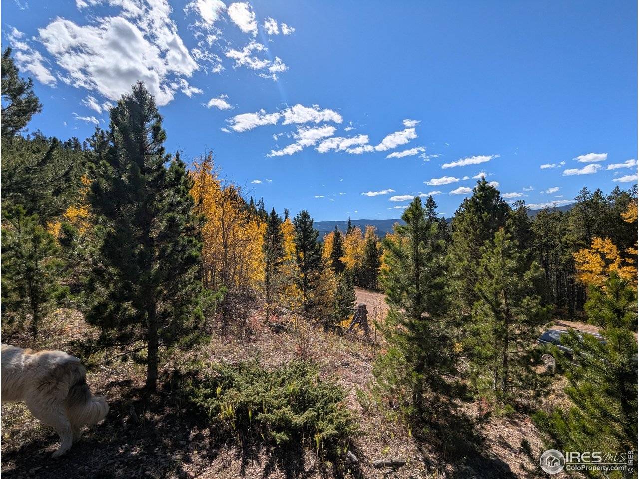 0 Bear Gulch, Red Feather Lakes, CO 80545