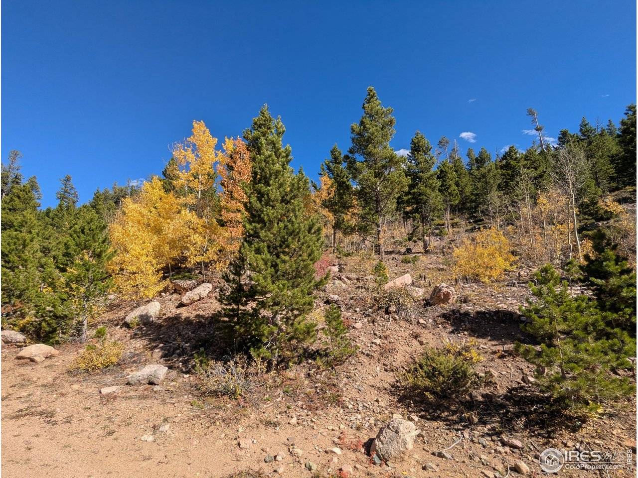 0 Bear Gulch, Red Feather Lakes, CO 80545