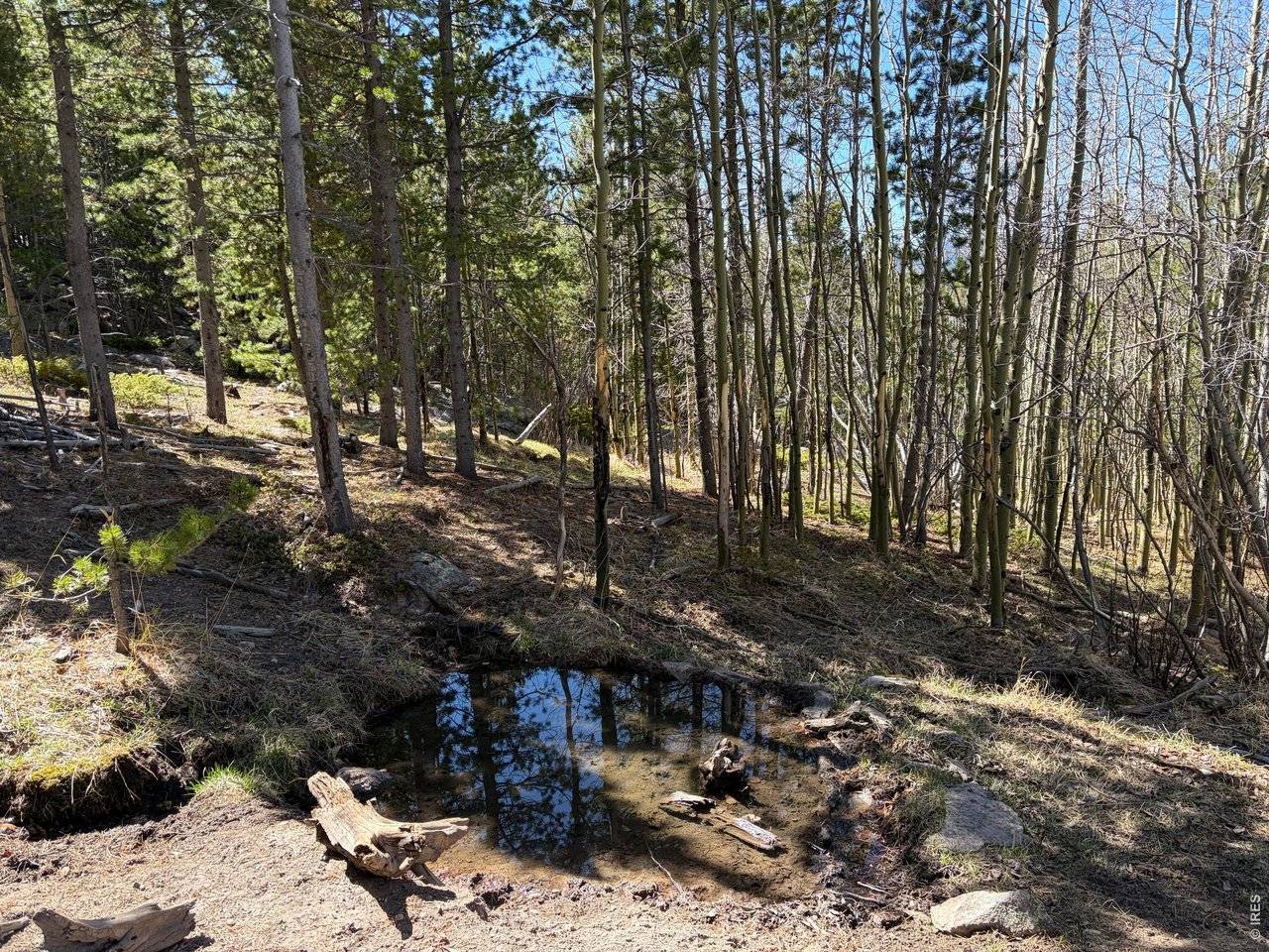 0 Bear Gulch, Red Feather Lakes, CO 80545