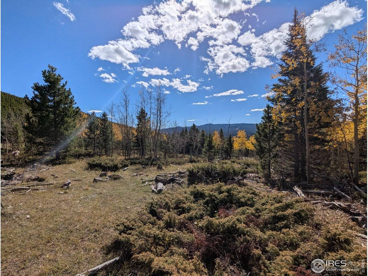 0 Bear Gulch, Red Feather Lakes, CO 80545