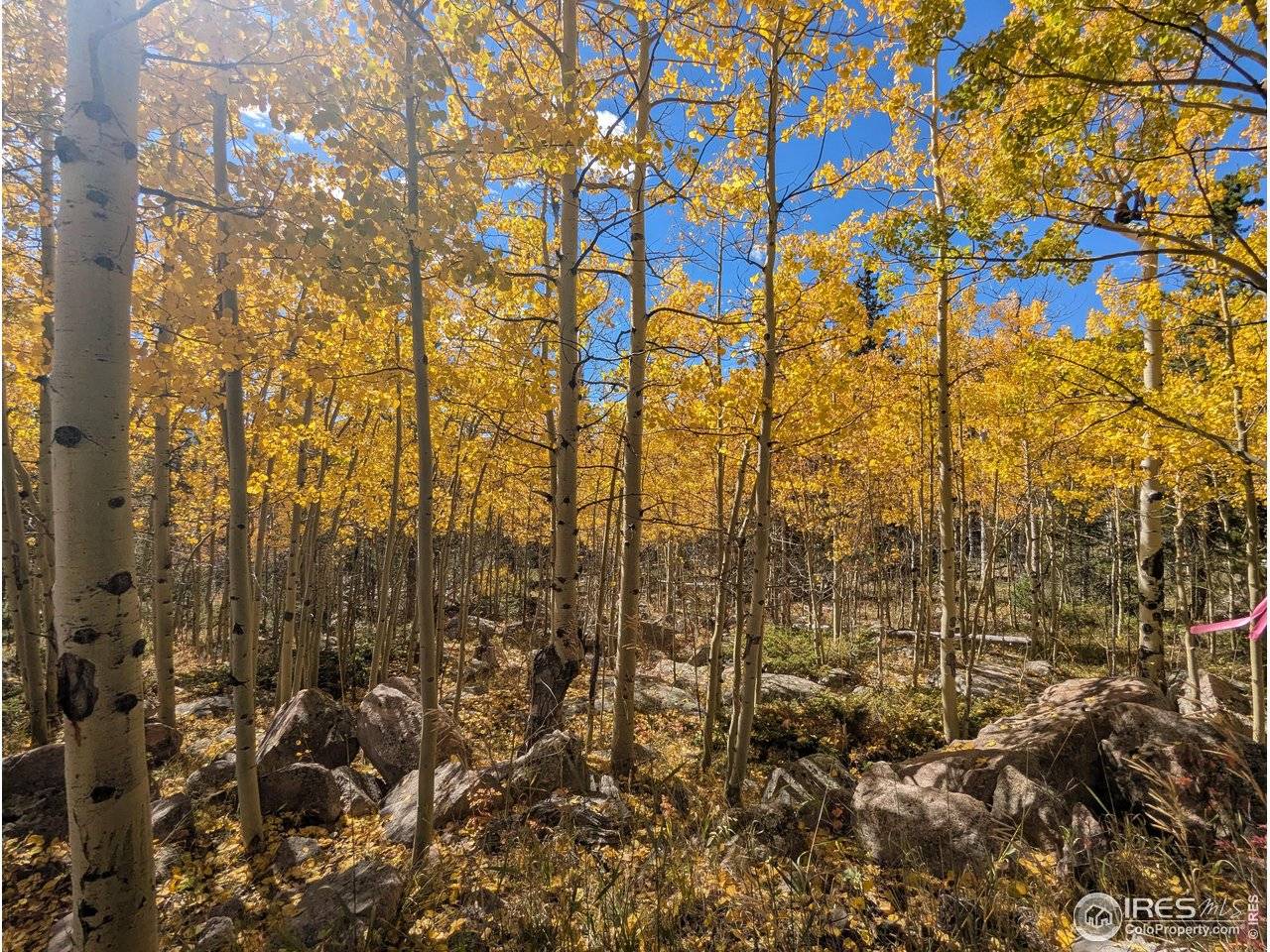 0 Bear Gulch, Red Feather Lakes, CO 80545