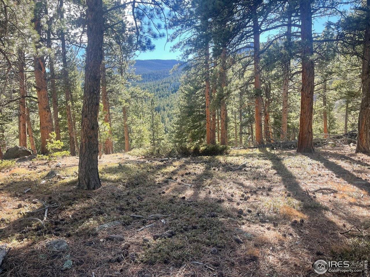 399 N Skinner, Allenspark, CO 80510