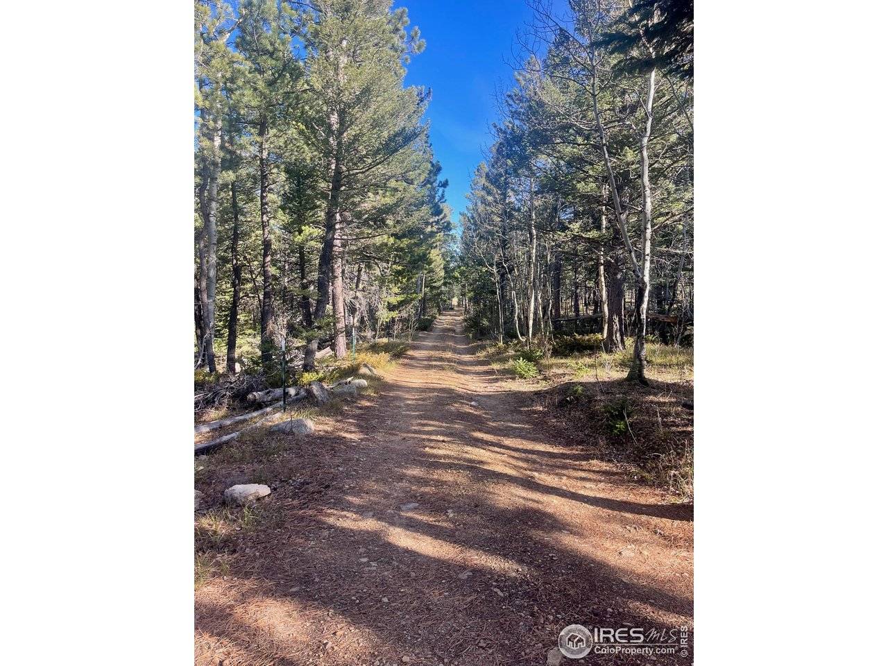 399 N Skinner, Allenspark, CO 80510