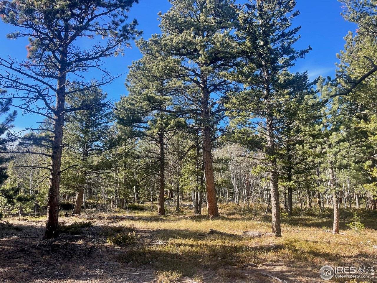 399 N Skinner, Allenspark, CO 80510