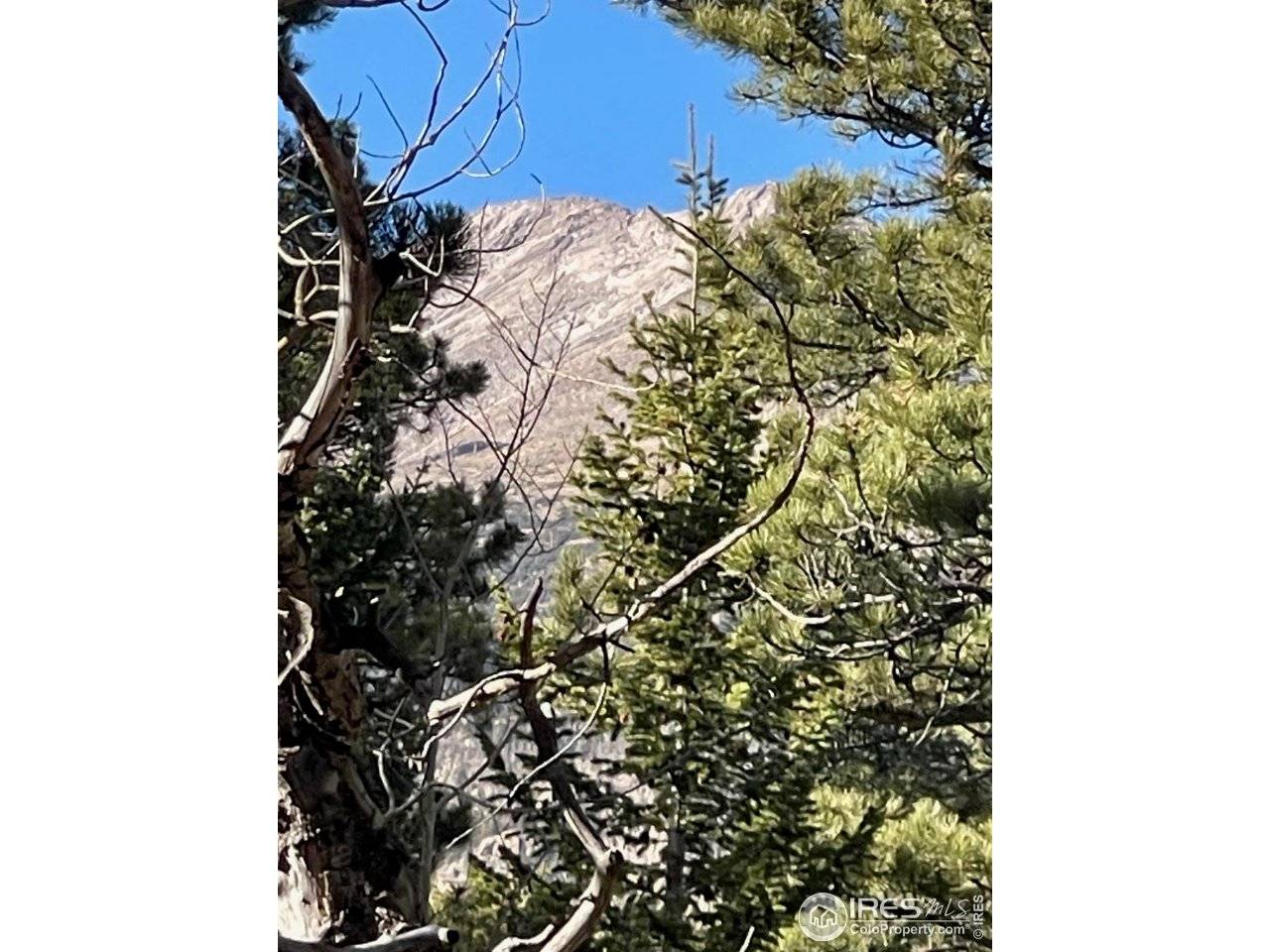 399 N Skinner, Allenspark, CO 80510