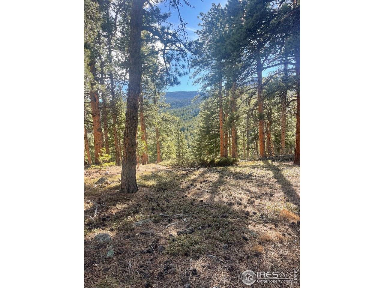 399 N Skinner, Allenspark, CO 80510