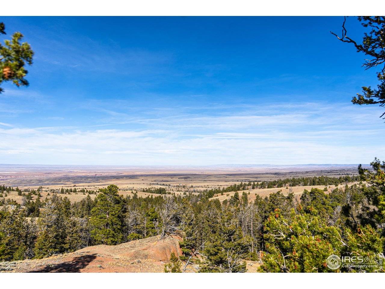 0 Wilderness Ranch, Red Feather Lakes, CO 80545