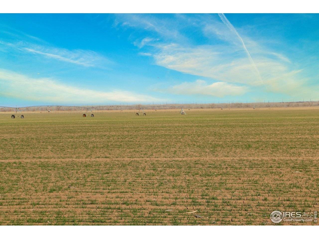 3699 County Road 5, Wiggins, CO 80654