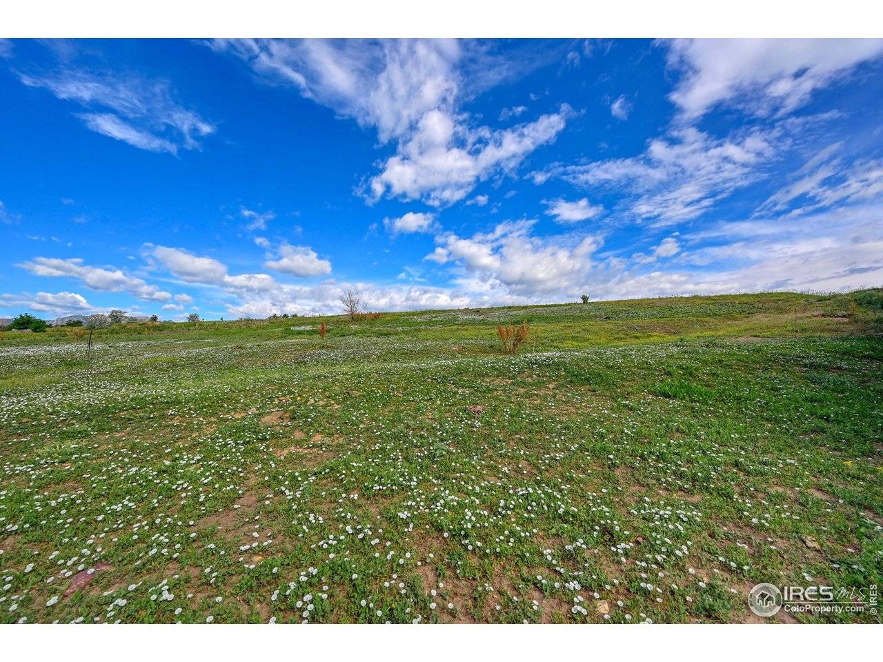 7171 Marshall, Boulder, CO 80303