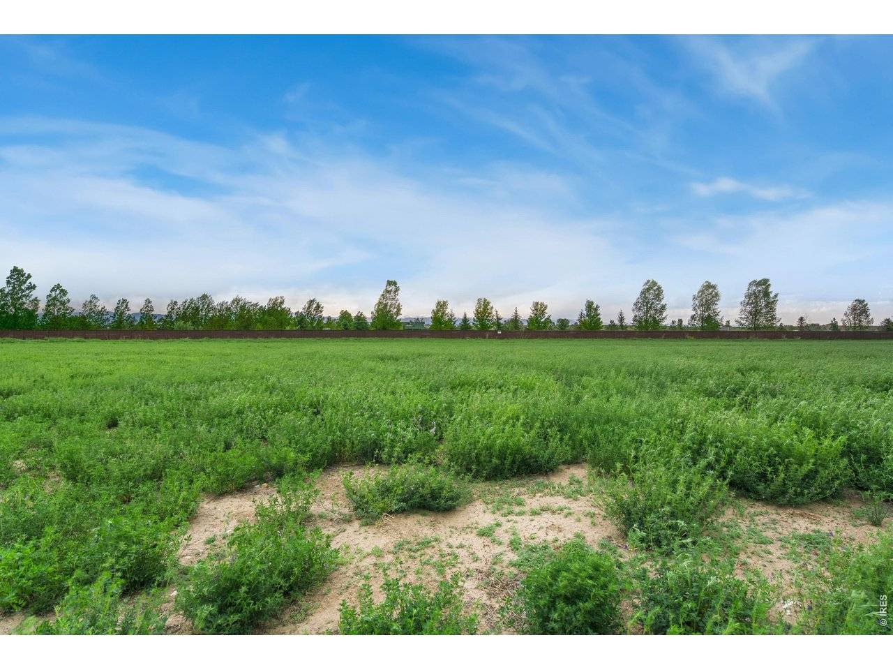 1574 Hauck Meadows, Frederick, CO 80504