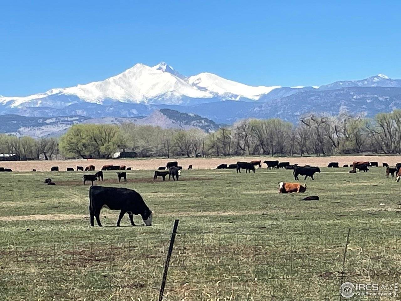 13155 N 75th, Longmont, CO 80503