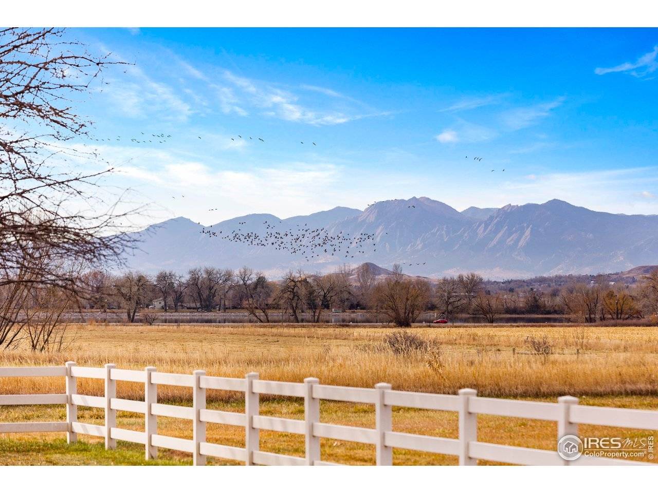 13155 N 75th, Longmont, CO 80503