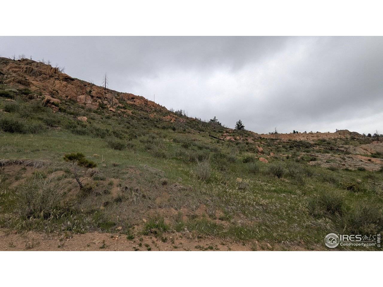 1191 Eiger, Livermore, CO 80536