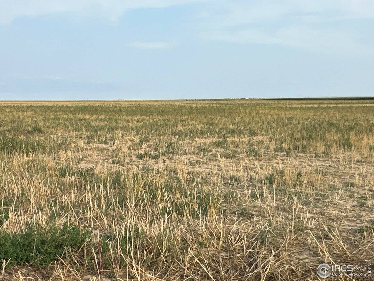 10 PP, Seibert, CO 80834