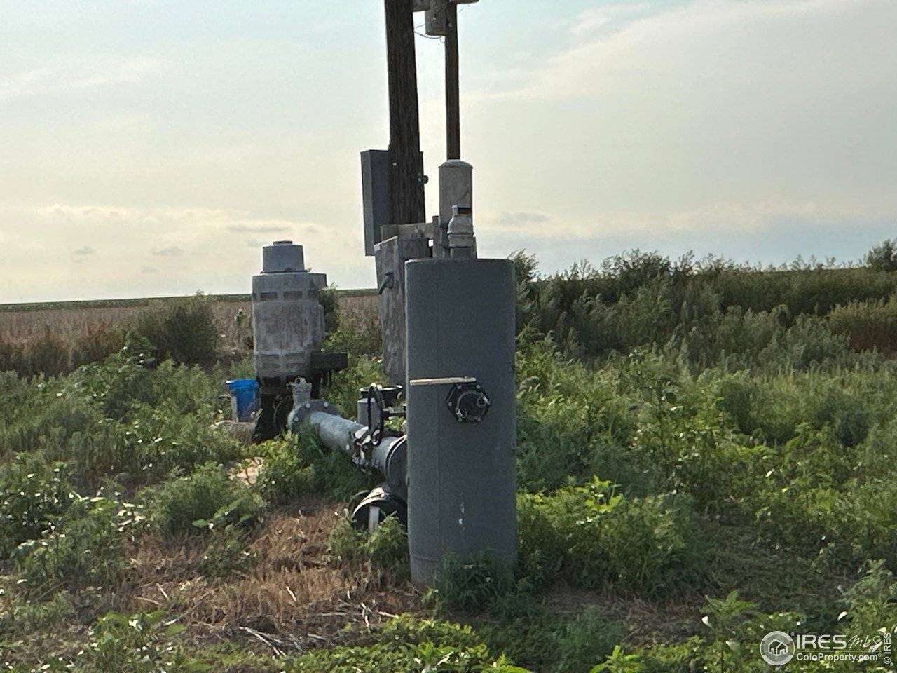 10 PP, Seibert, CO 80834