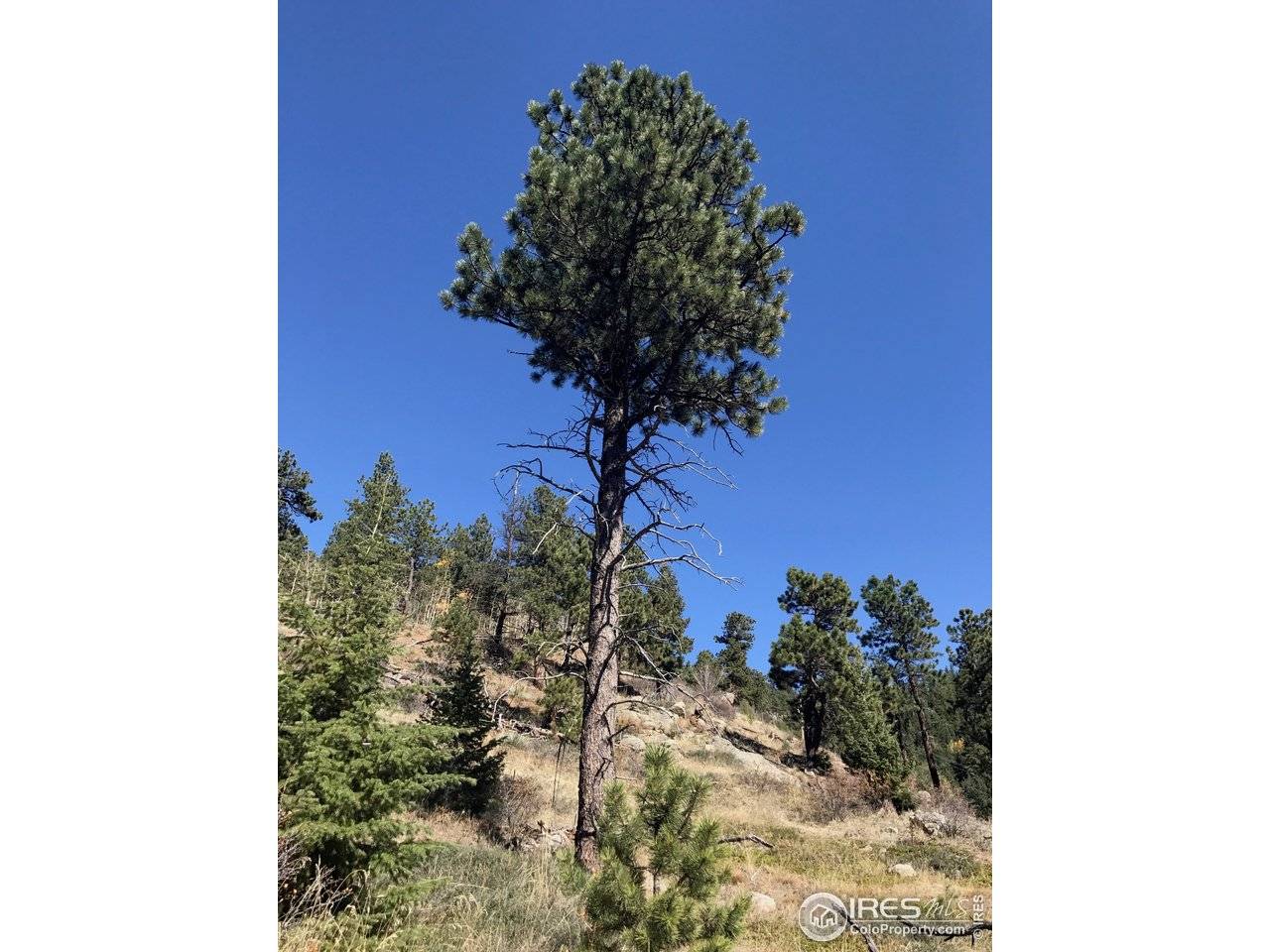 0 Good Friday, Boulder, CO 80302
