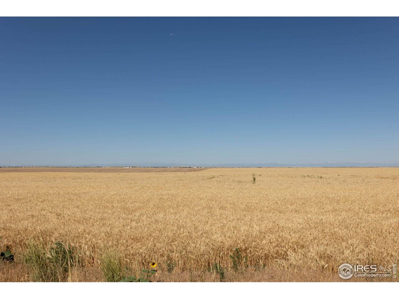 1 Vacant Land Penrith, Bennett, CO 80102